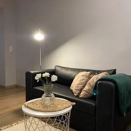 Apartment Great Near Center *